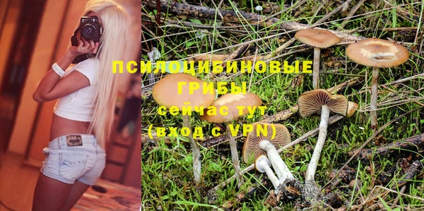 ALPHA PVP Алзамай