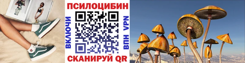 Псилоцибиновые грибы GOLDEN TEACHER Исилькуль