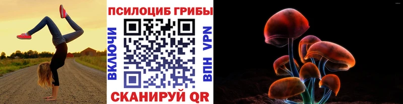 Псилоцибиновые грибы GOLDEN TEACHER Исилькуль